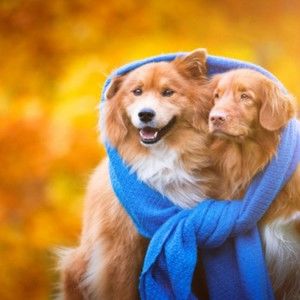 Meet your Posher, Shawna